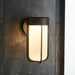 Brushed Bronze Outdoor Wall Light & Frosted Glass Shade IP44 Rated 8W LED Module