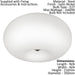 Wall Flush Ceiling Light Satin Nickel Shade White Glass Opal Matt Bulb E27 2x60W Loops