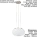 Pendant Light Colour Satin Nickel Shade White Glass Opal Matt Bulb E27 2x60W Loops