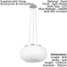 Pendant Ceiling Light Colour Satin Nickel Shade White Glass Opal Matt E27 2x60W Loops