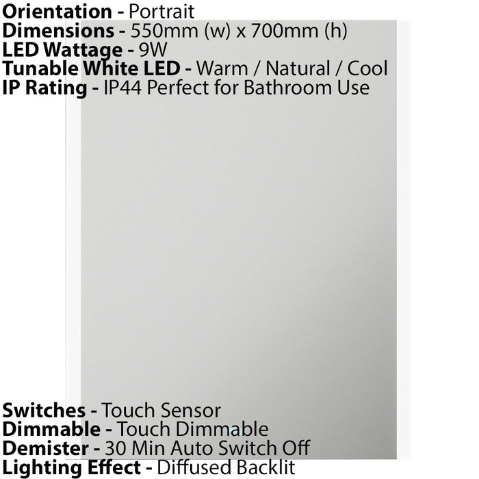 550 x 700mm IP44 LED Bathroom Mirror Cabinet - Bluetooth Speaker Touch Demister