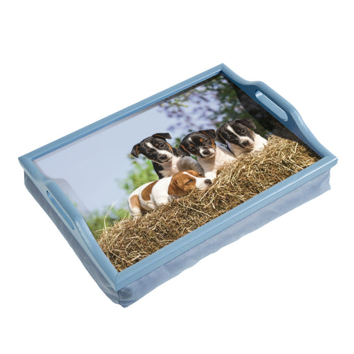 Laminated Wooden Lap Tray with Built in Cushion - 100 x 400 x 300mm - Dog Design Loops