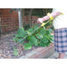 Ergonomically Long Handled Garden Cultivator - Reduces Wrist Stress - Gardening Loops