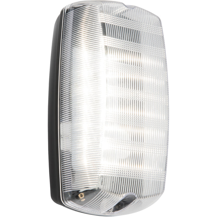 Outdoor IP65 Bulkhead Wall Light - Cool White LED - Weatherproof Conduits